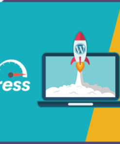 Speed Up WordPress Site – Based on GTMetrix and Google PageSpeed Insights metrics Special
